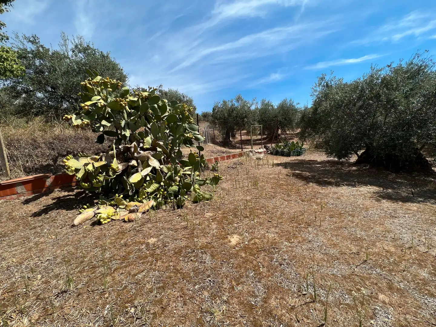 House with pool for sale in Calle José Gochicoa 2, imagen 32