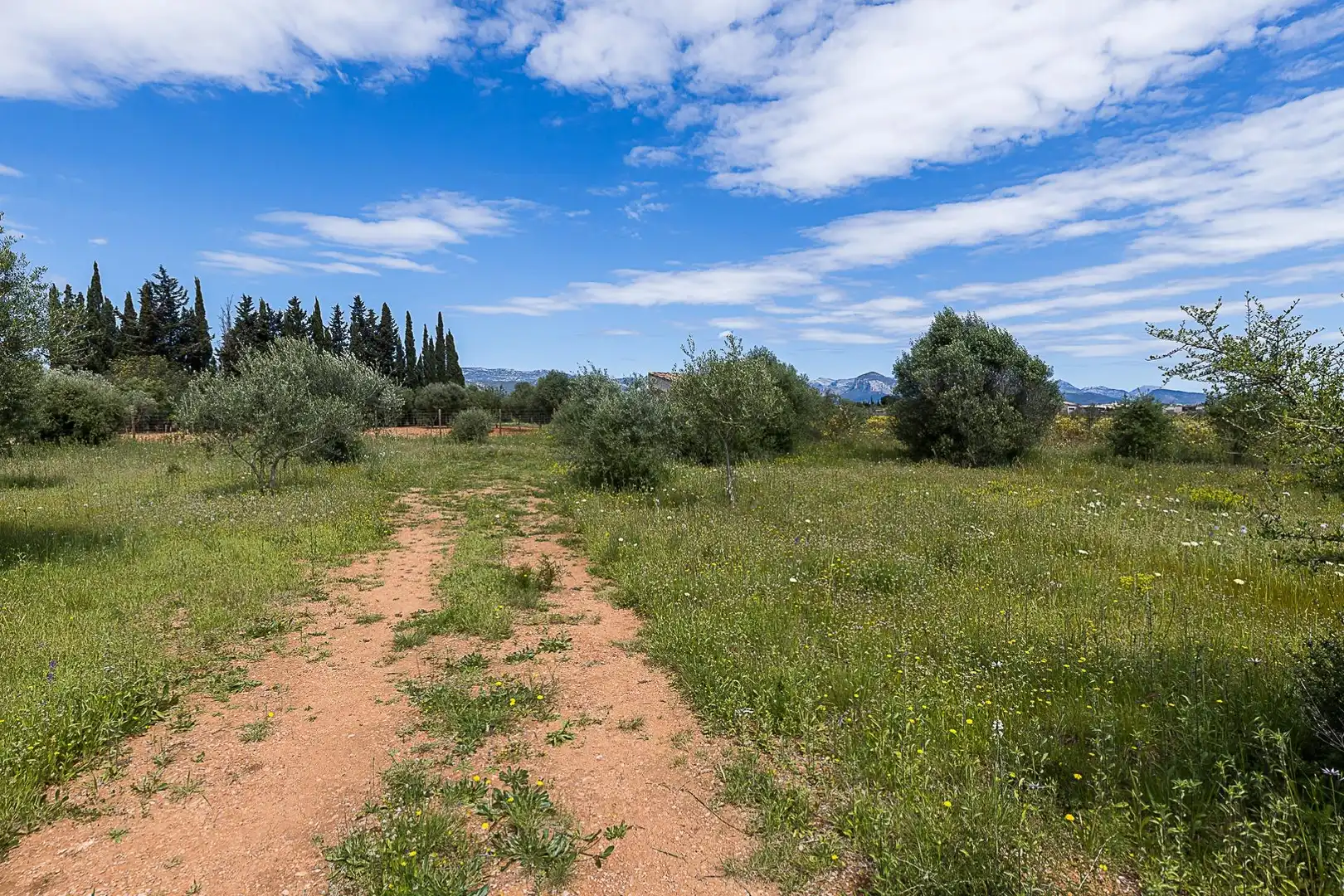 Terreny rústic en venda a Santa María del Camí, imagen 11