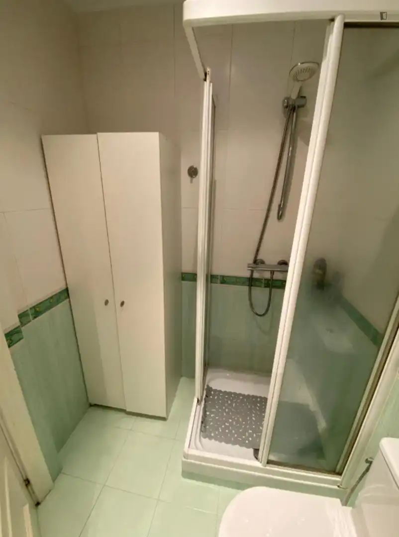 Bathroom of Apartments for share in Bilbao   with Furnished, Oven and Washing machine