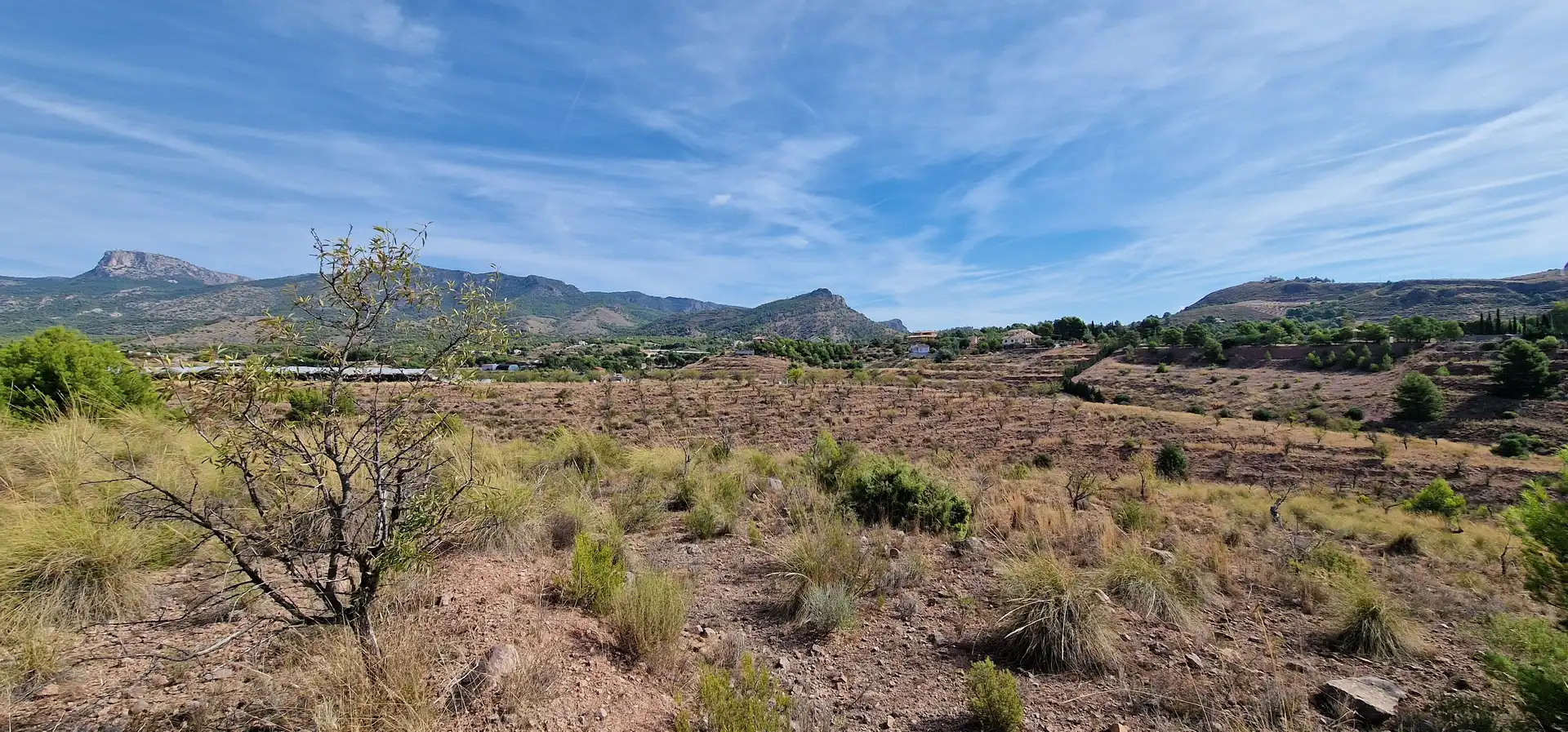 Residential land for sale in Aledo, imagen 5