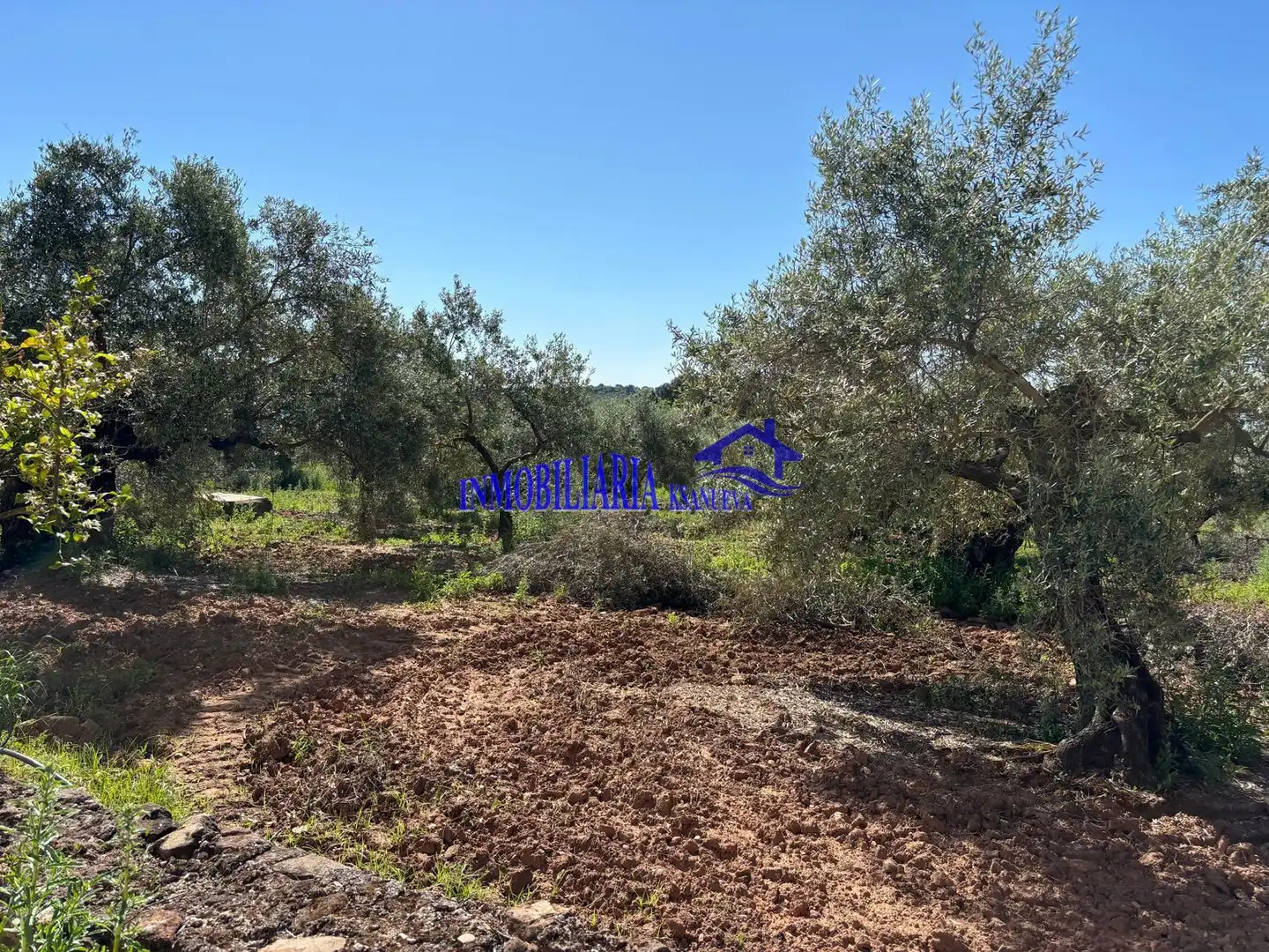 Casa rústica en venta en Montoro, imagen 16