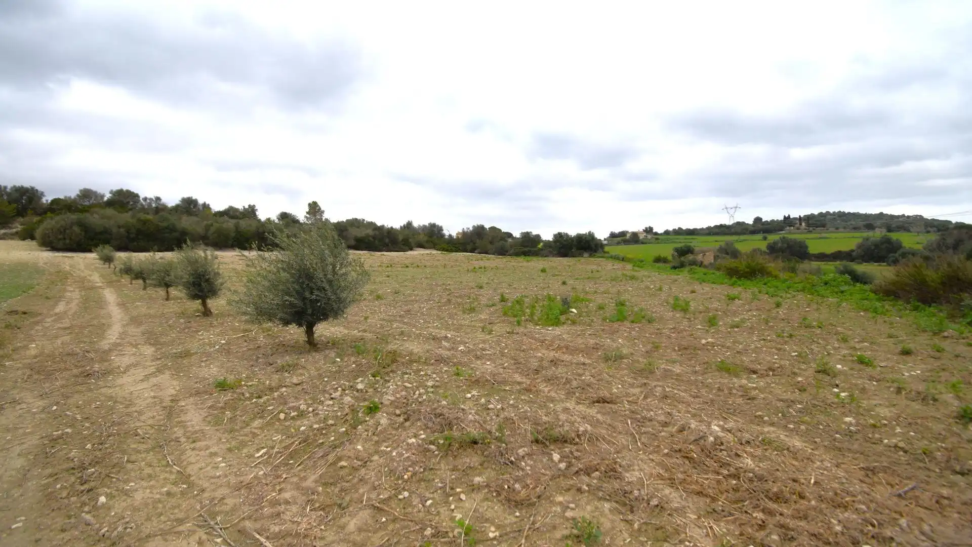 Finca rústica en venta en Llubí