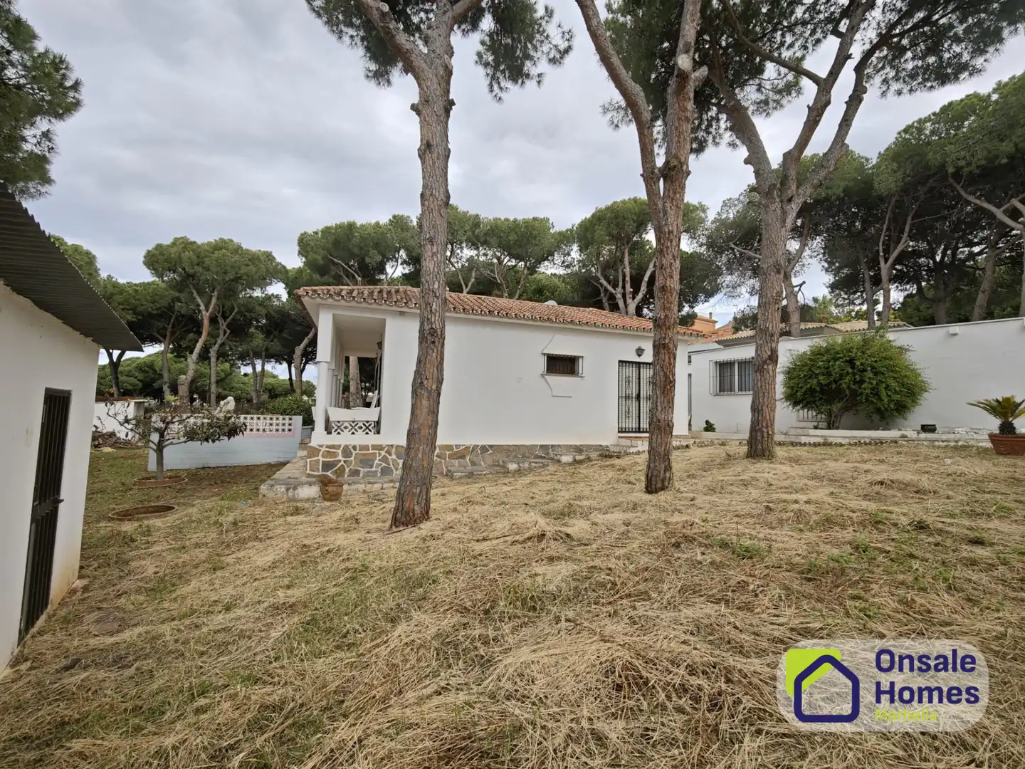 Jardí de Casa o xalet en venda en Marbella amb Jardí privat