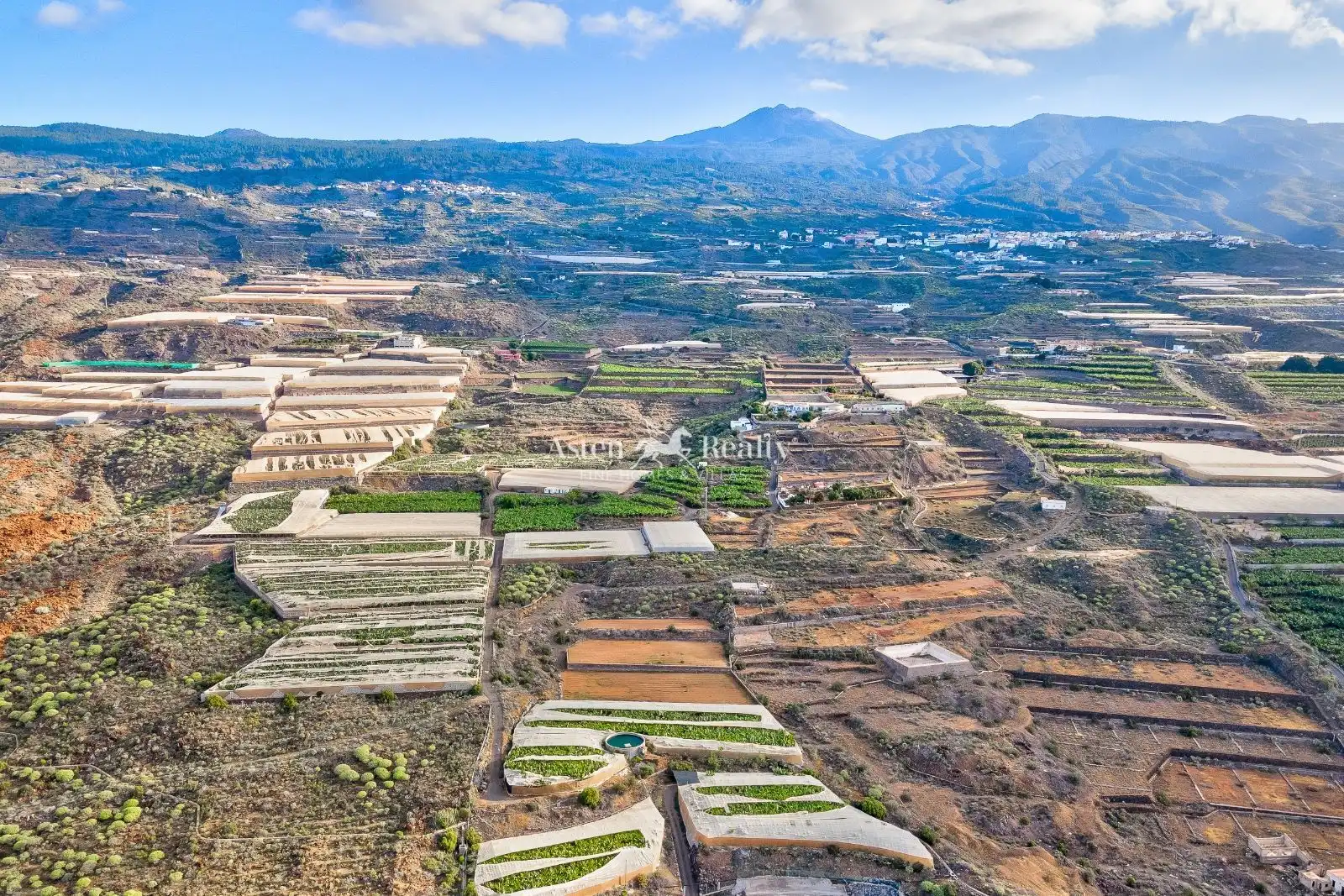 Terreny rústic en venda a Finca El Morenero