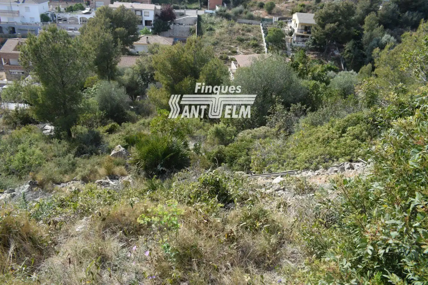 Terreny rústic en venda a SANTA MARIA DE MONTSERRAT, imagen 3