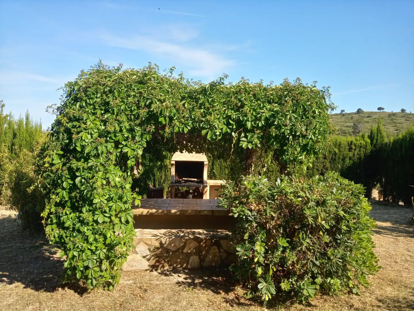 Terraza de Casa o chalet en venta en Montserrat con Jardín privado, Parquet y Terraza