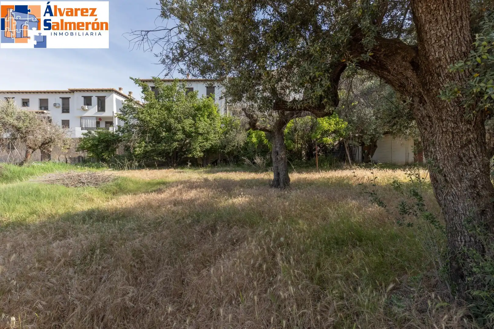 Lands and plots for sale in Carretera de Maitena, imagen 9