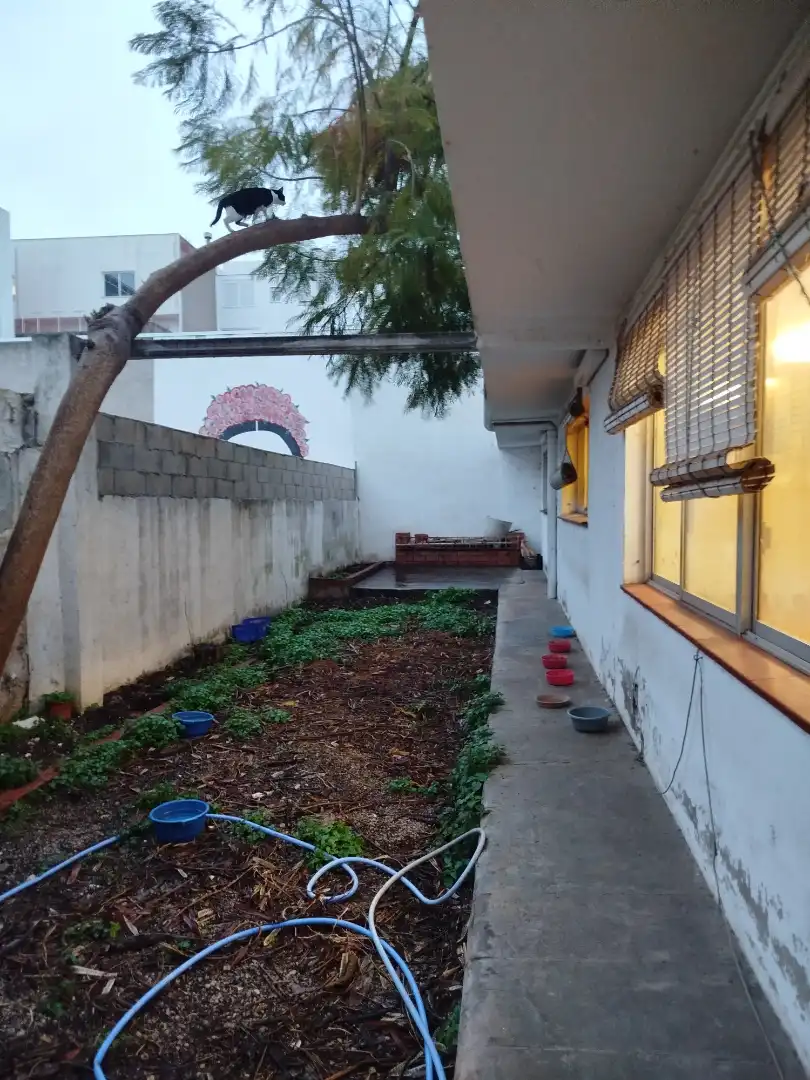 Maison jumelée avec jardin à vendre à Paseo Marítimo, imagen 30