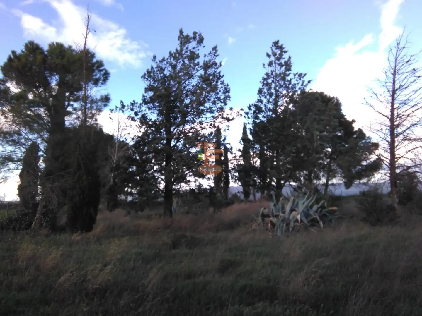 Terreno en venta en Zaragoza