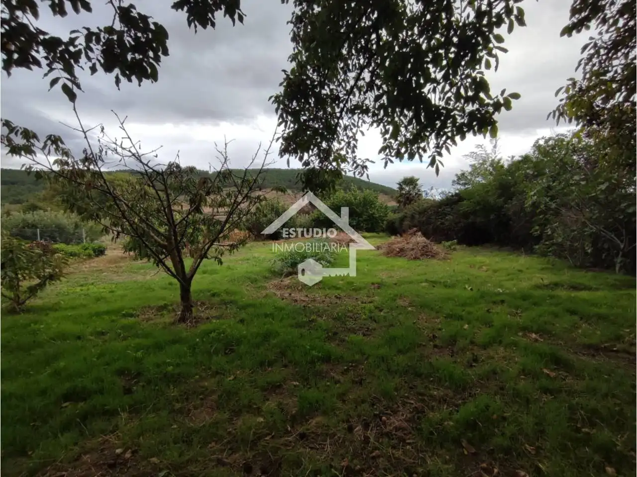 Terreno rustico in vendita a Mendavia, imagen 22
