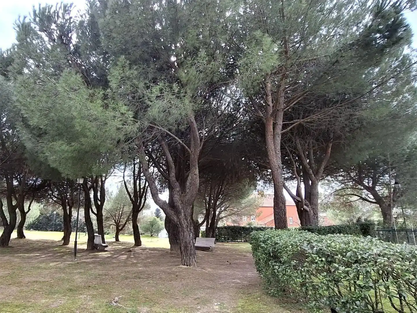 Jardín de Casa o chalet de alquiler en Galapagar con Aire acondicionado, Jardín privado y Parquet