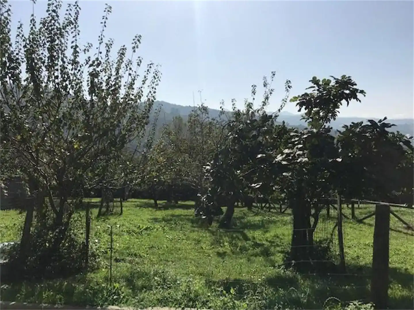 Finca rústica en venda en Langreo