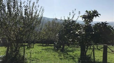 Foto 2 de Finca rústica en venda a Barrio Pando, La Felguera, Langreo