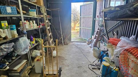 Photo 5 of Premises for sale in Balsapintada - El Estrecho, Murcia