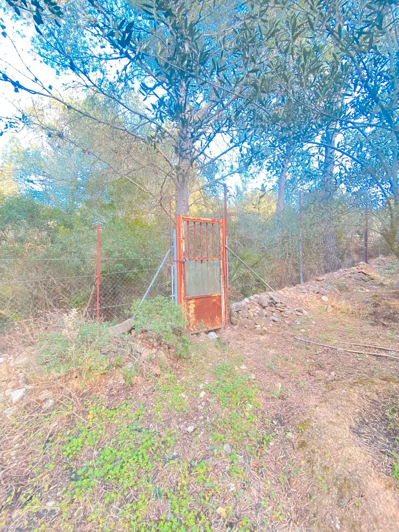 Casa o xalet en venda a Carlet