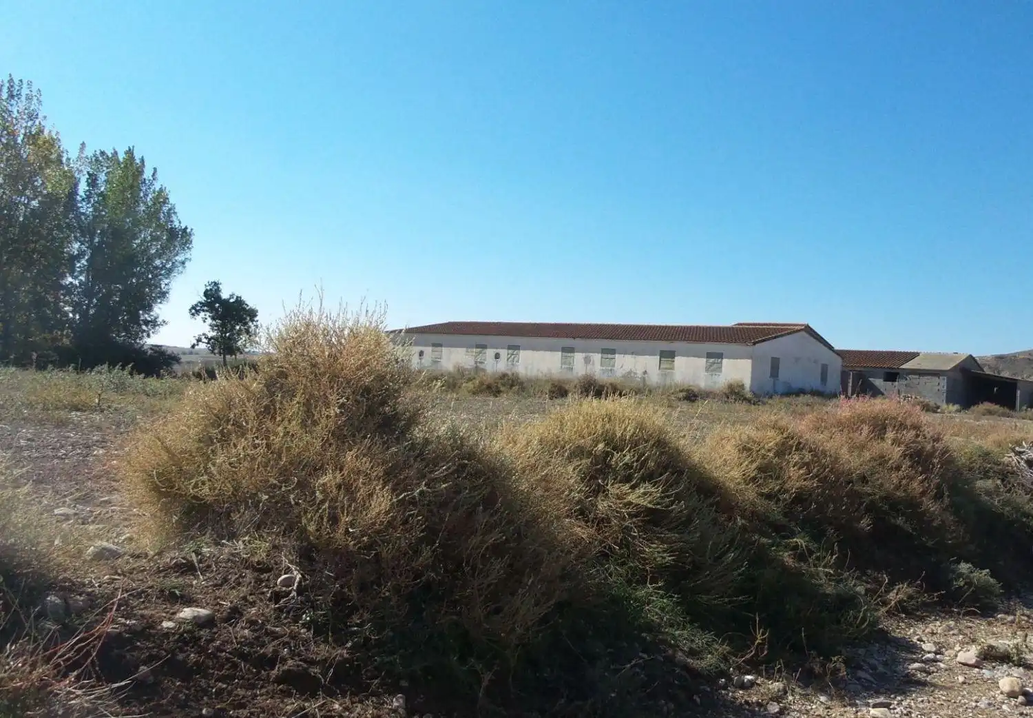 Vista exterior de Terreno en venta en Orcera