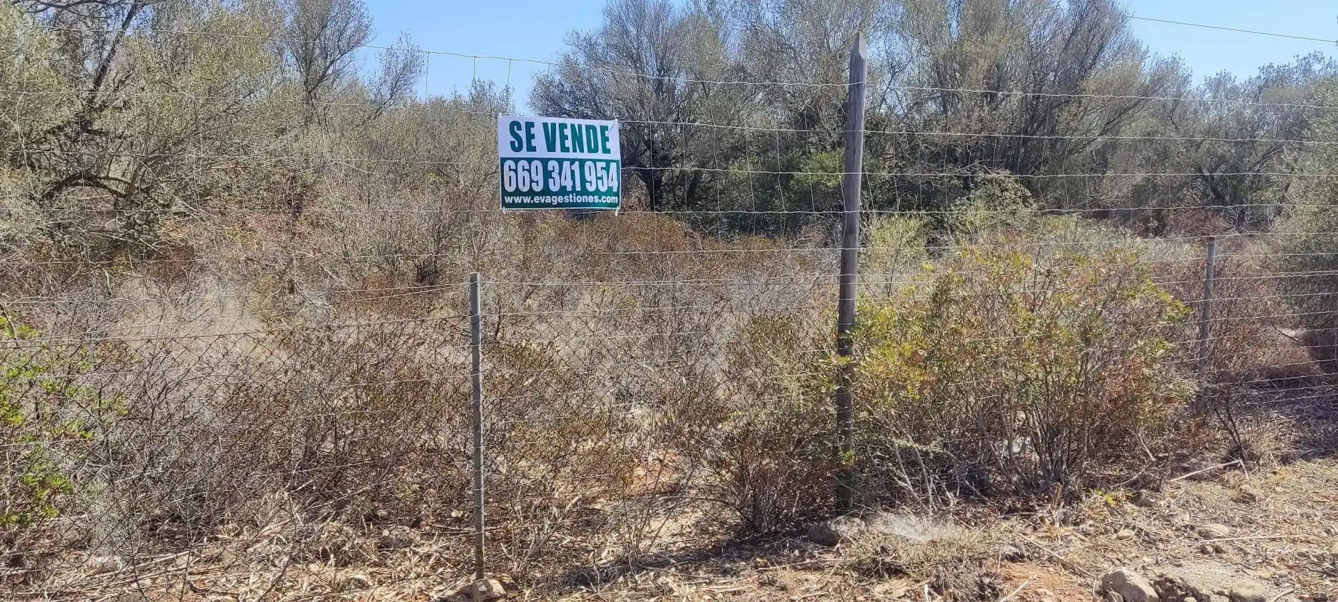 Terreno rustico in vendita a Ma-6014 Km 24, imagen 3
