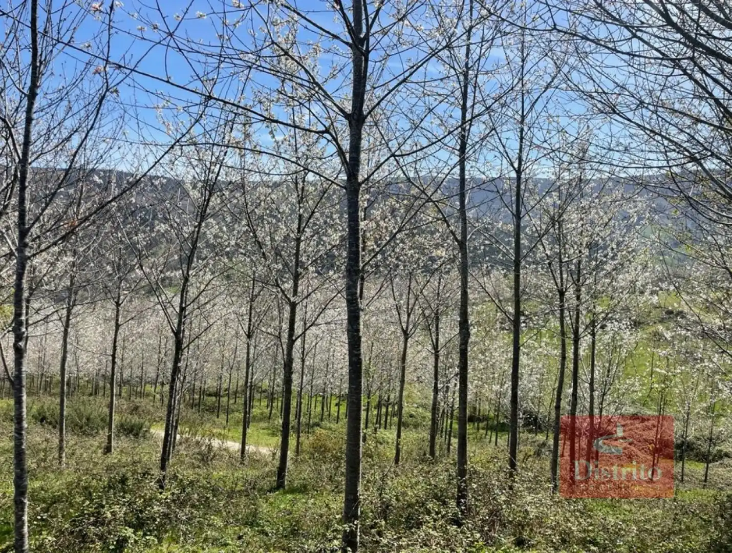 Terreni e lotti in vendita a Valdáliga - barrio la herrería, imagen 16