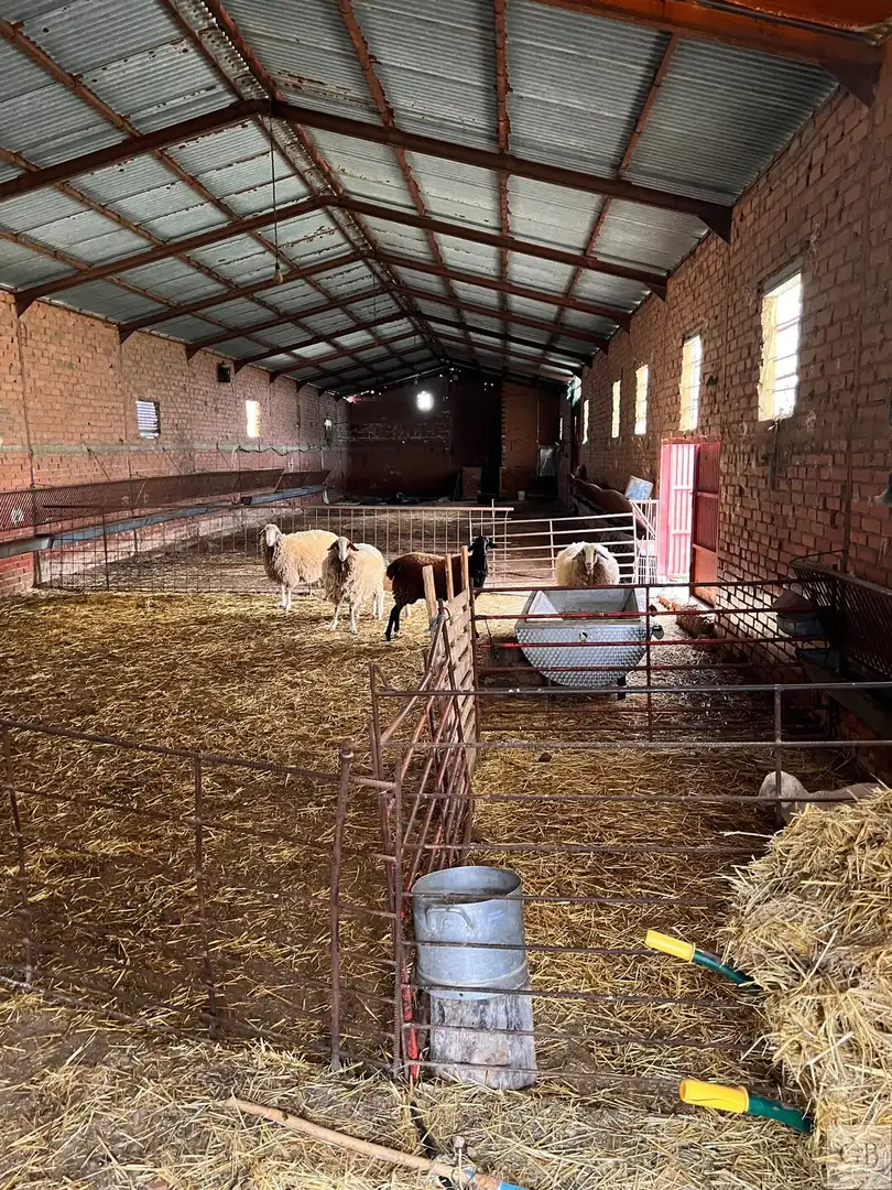 Terrenys i solars en venda a Consuegra, imagen 13