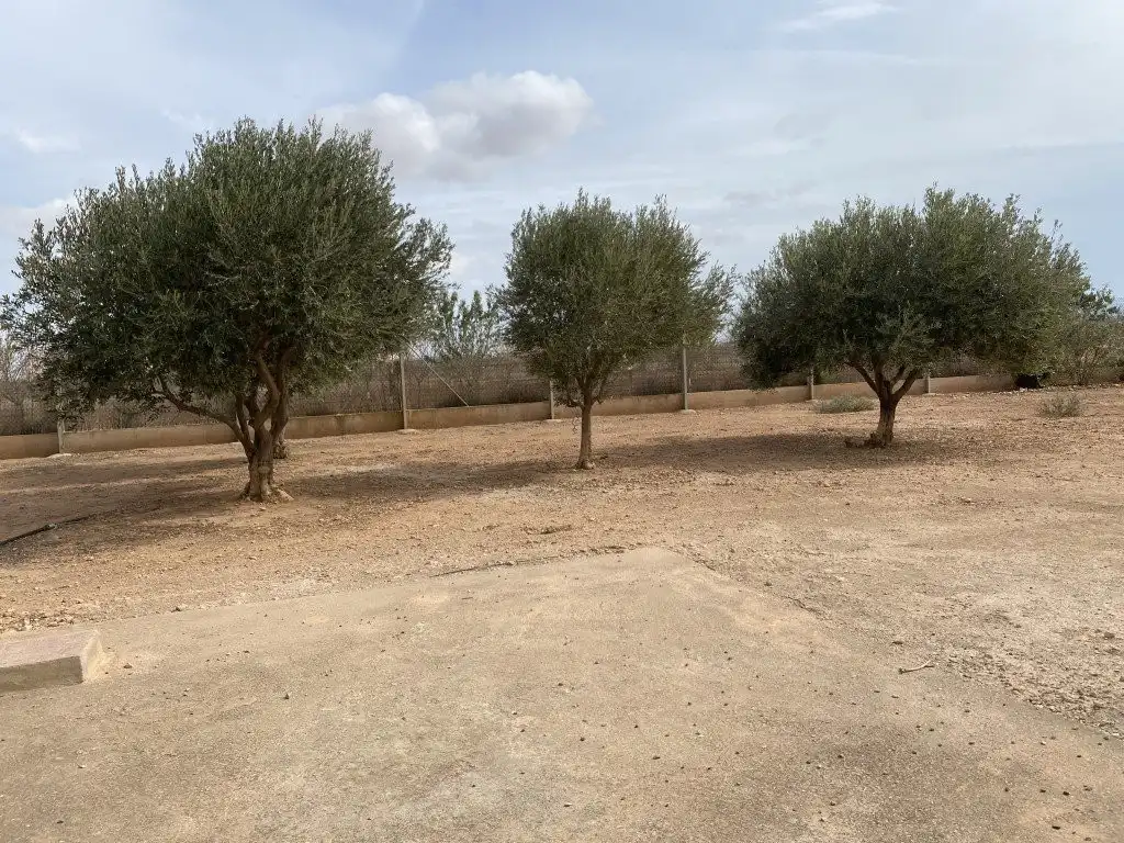Country homes for sale in N/A, -1, Balsapintada - El Estrecho
