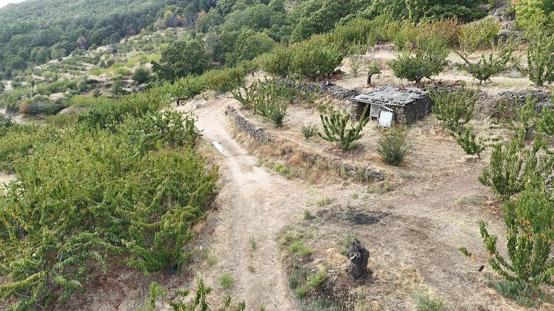 Terrain rustique à vendre à Avenida Extremadura 72, imagen 11