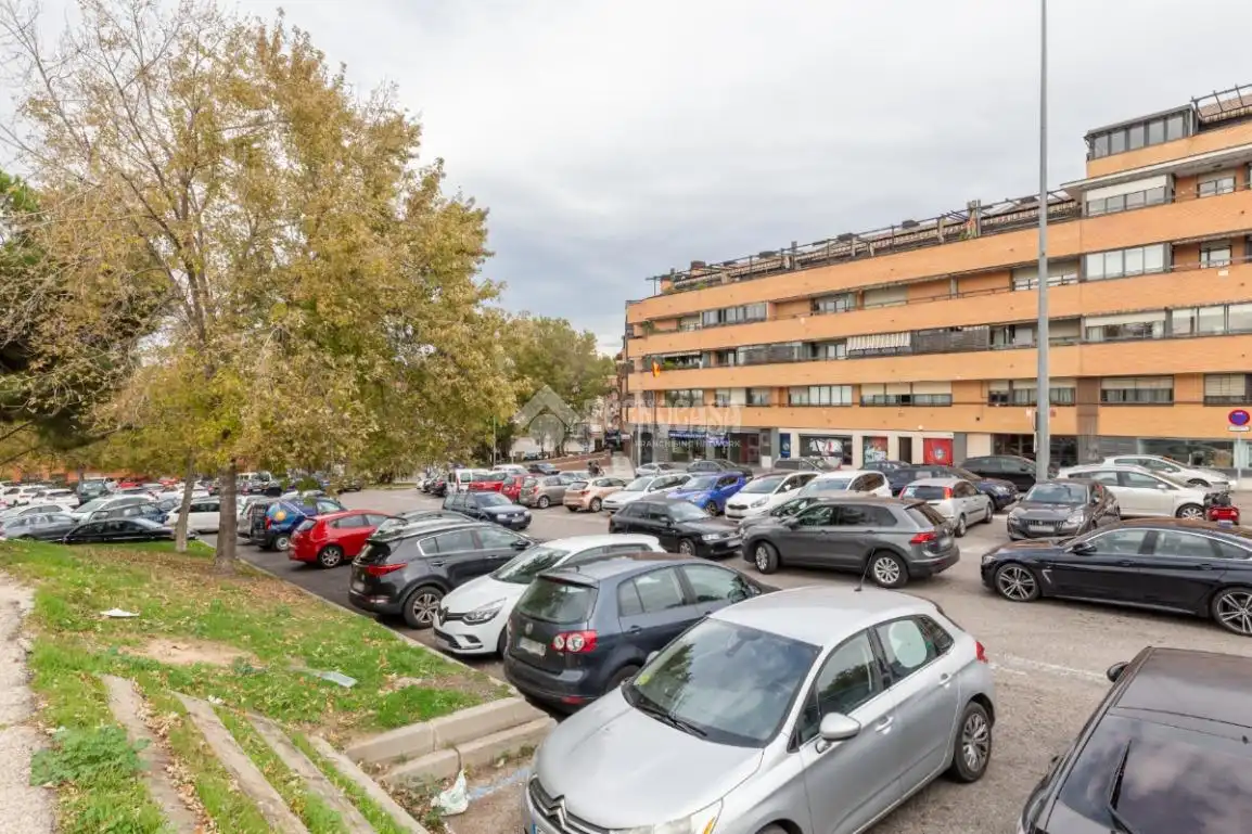 Appartamento in affitto a Casco Antiguo