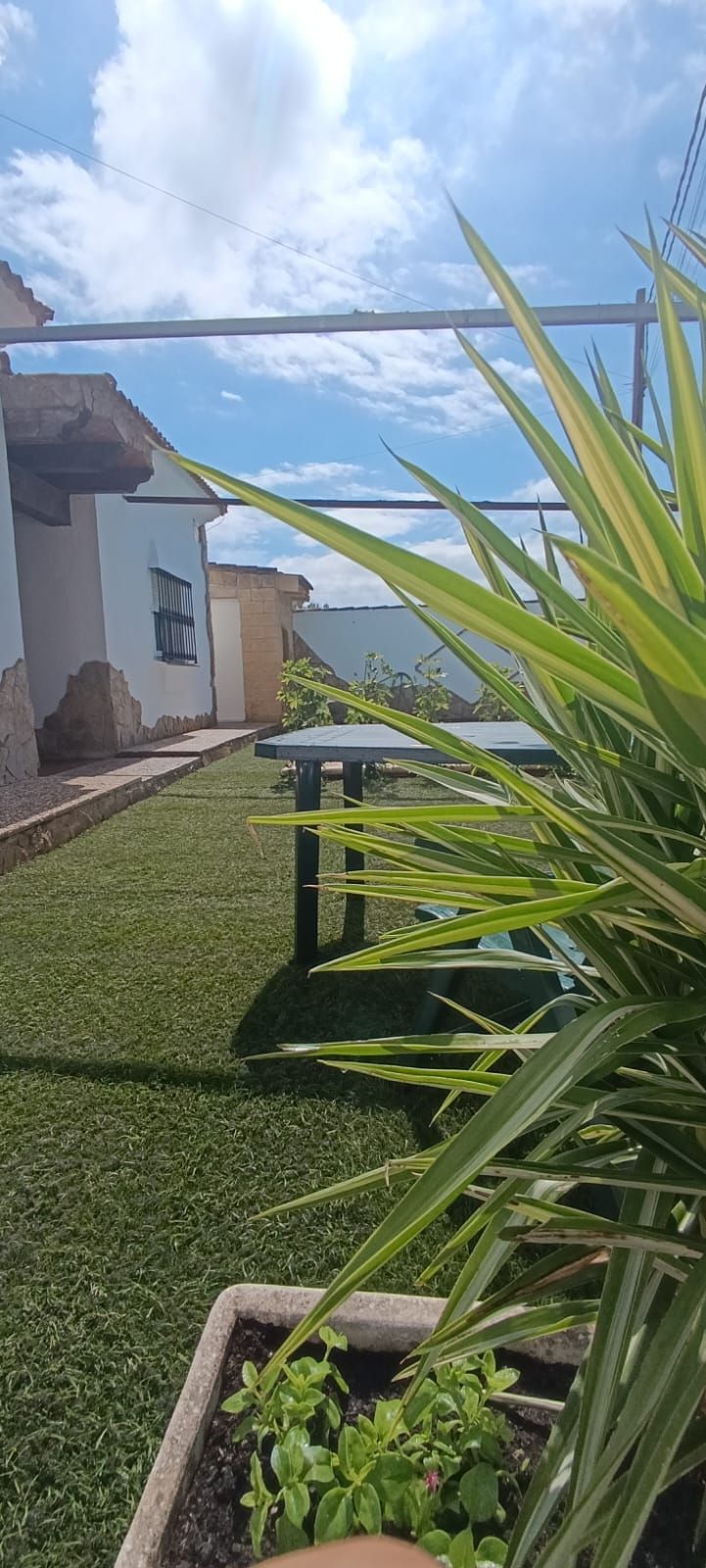 Casa o chalet en venta en La Soledad