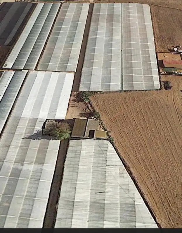 FINCA DE INVERNADEROS EN CHIPIONA, imatge 2