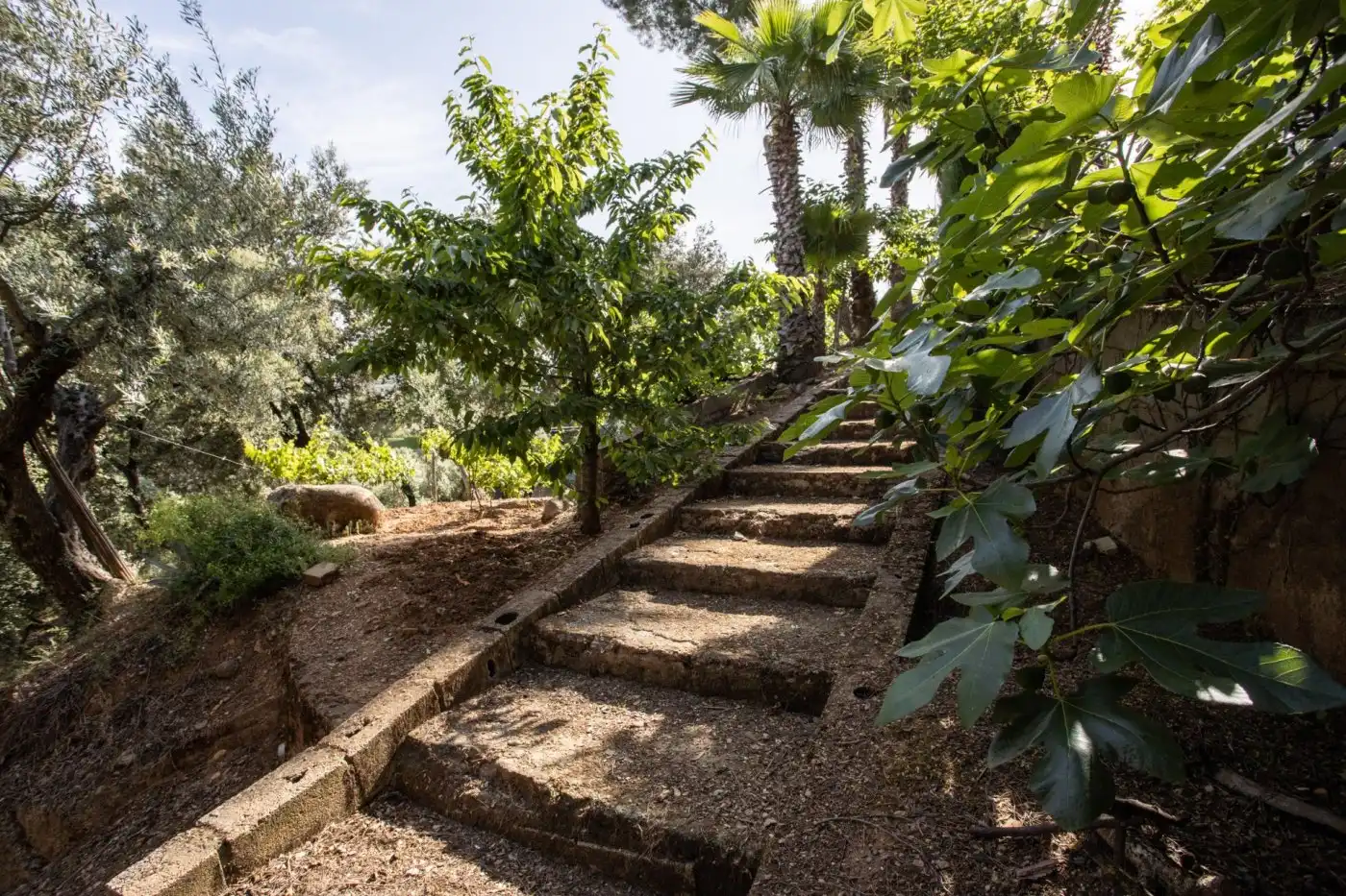 Jardín de Casa o chalet en venta en Dúdar con Aire acondicionado, Calefacción y Jardín privado