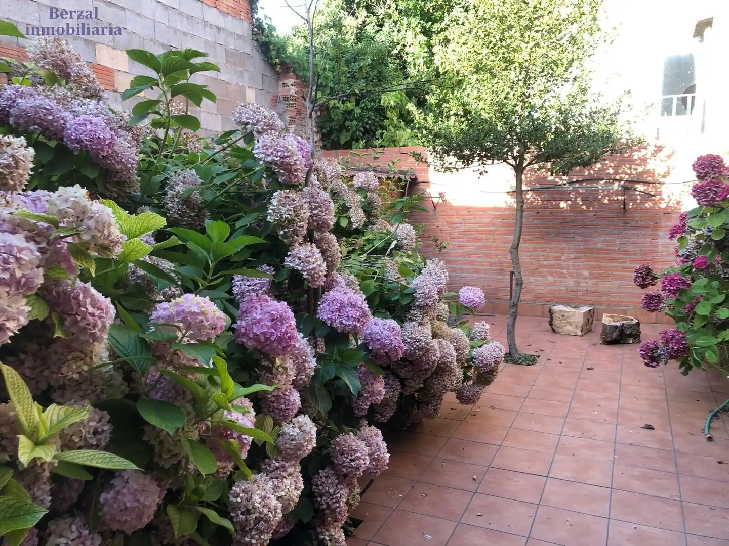 Jardí de Casa o xalet en venda en Baños de Río Tobía amb Traster, Moblat i Balcó