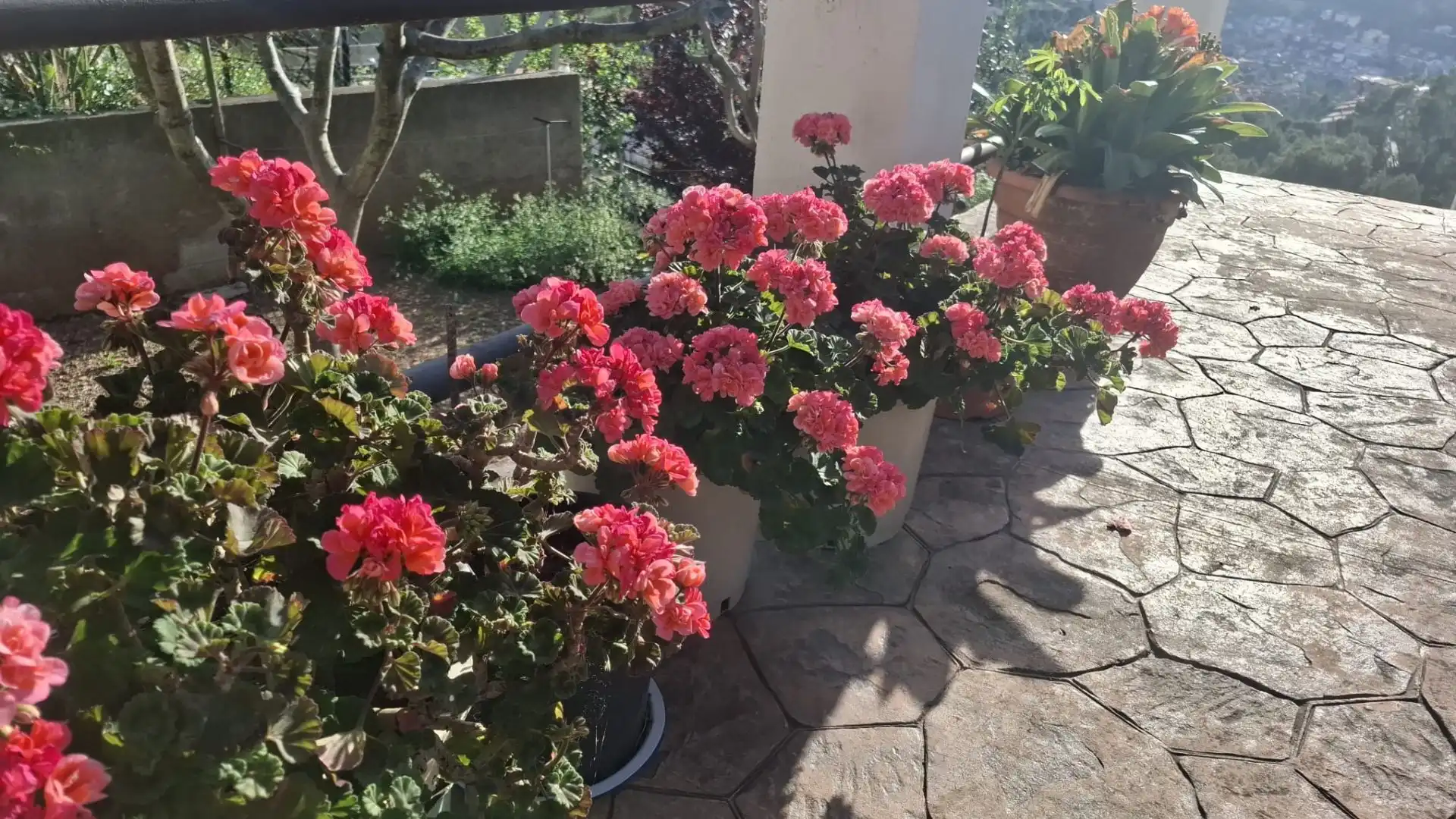 Terrassa de Casa o xalet en venda en Vallirana amb Aire condicionat, Calefacció i Terrassa