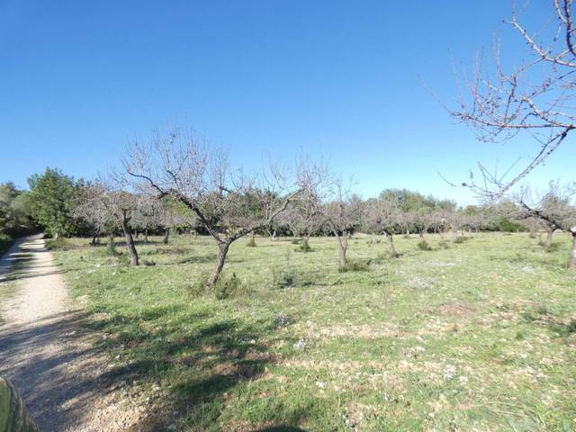 Terreno en Venta en Calle POLIGONO 45. PARCELA 53 en Cervera del Maestre