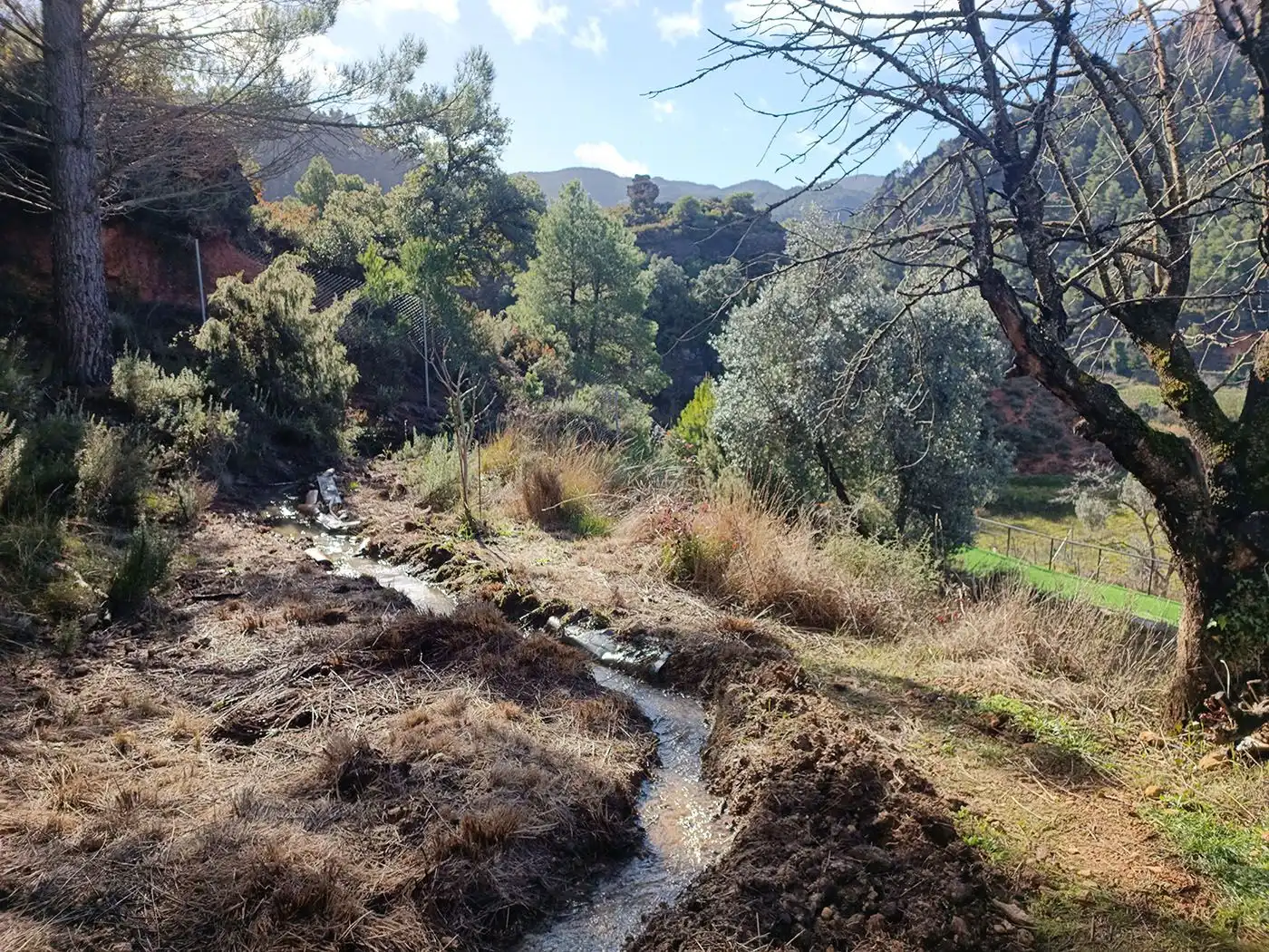 Xalet amb piscina en venda a Camino del Parrizal 7, imagen 15