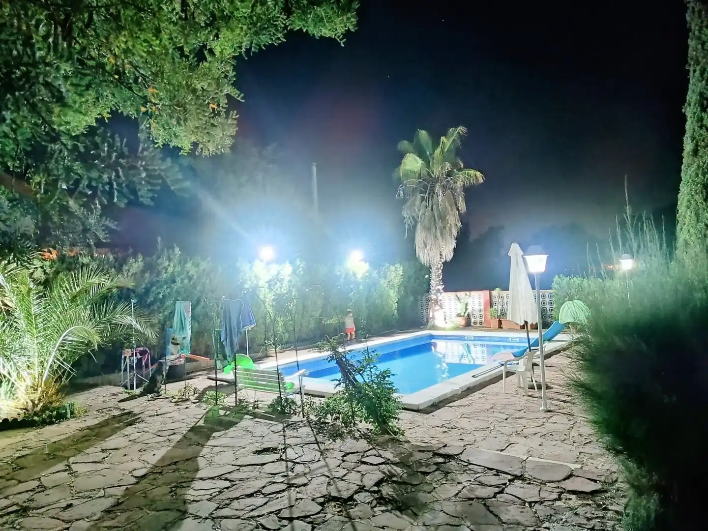 Piscina de Casa o chalet en venta en Torrent con Terraza, Trastero y Piscina