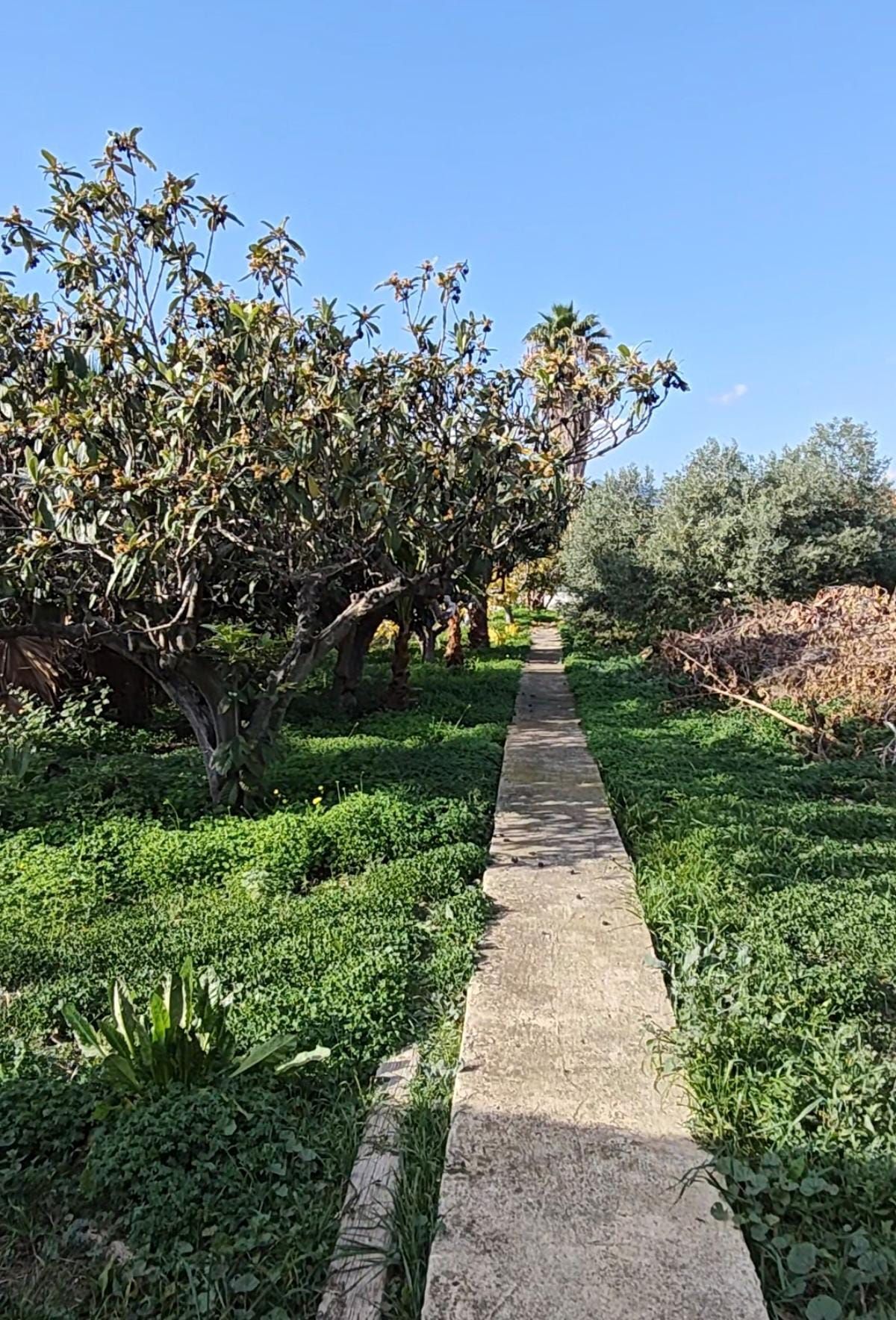 Casa o chalet en venta en Altea