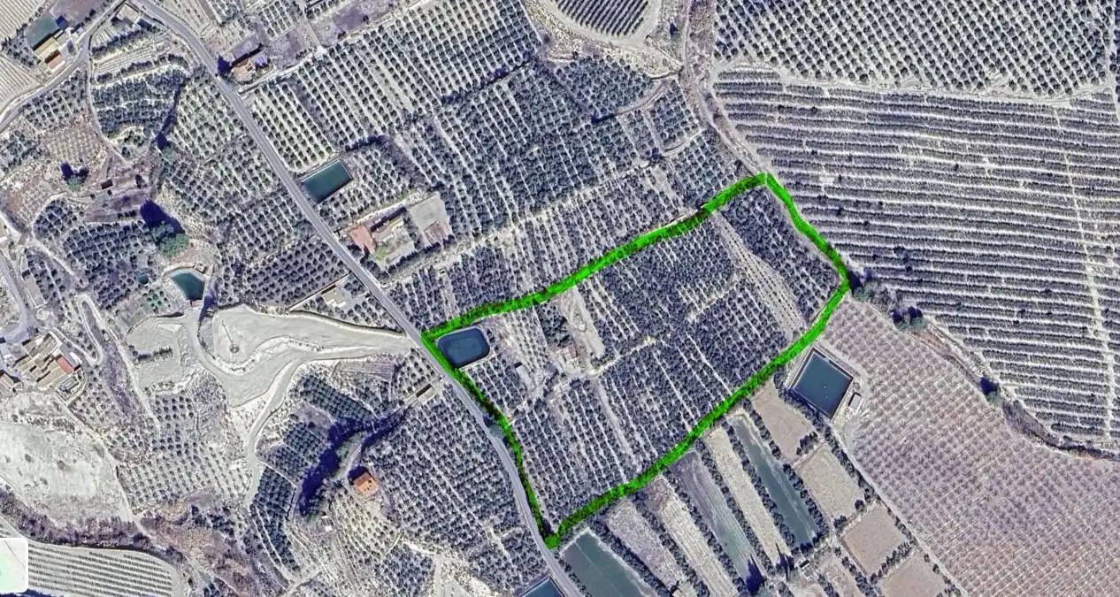 Vista exterior de Terreno en venta en Tíjola