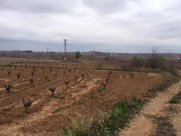 Terrain résidentiel à vendre à Requena, imagen 5