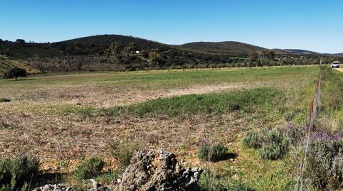 Cortijo con tereno , ideal para vivir y conectar con la naturaleza, imatge 3