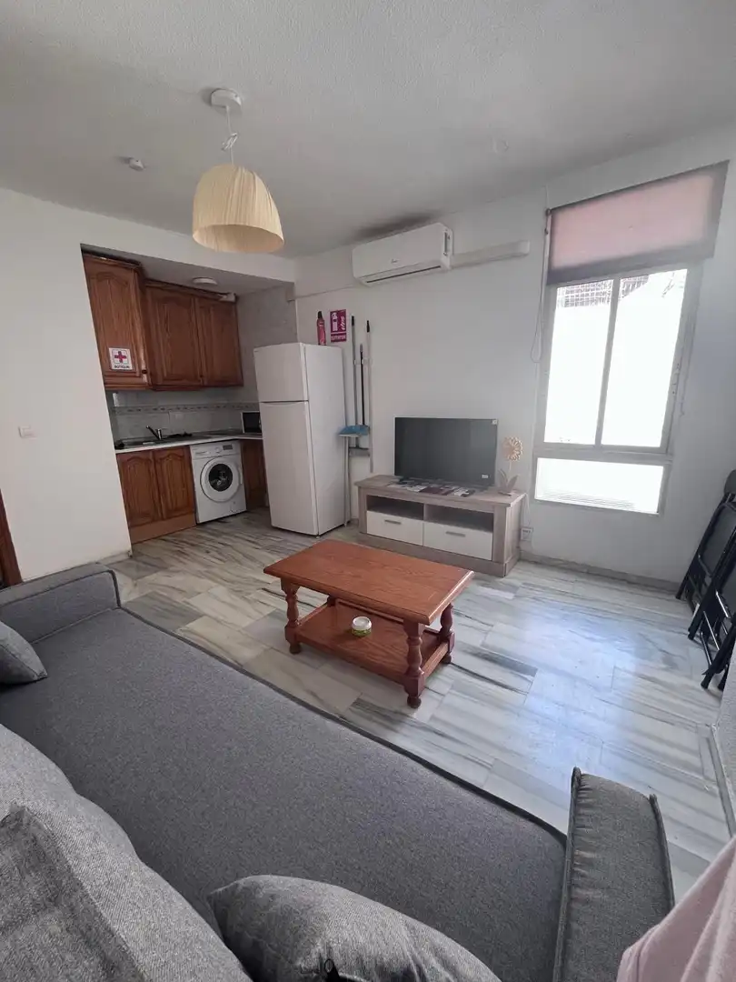 Sala de estar de Dúplex de alquiler en Granada con Amueblado