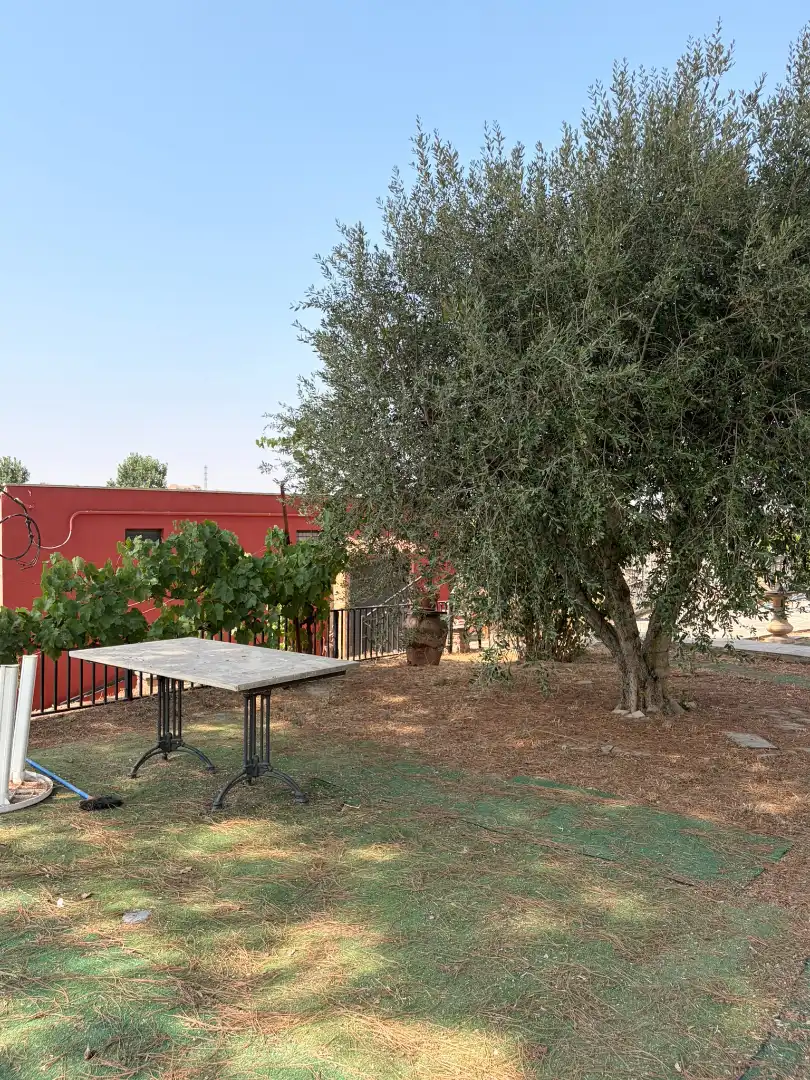 Terrassa de Terreny en venda en Les Borges Blanques