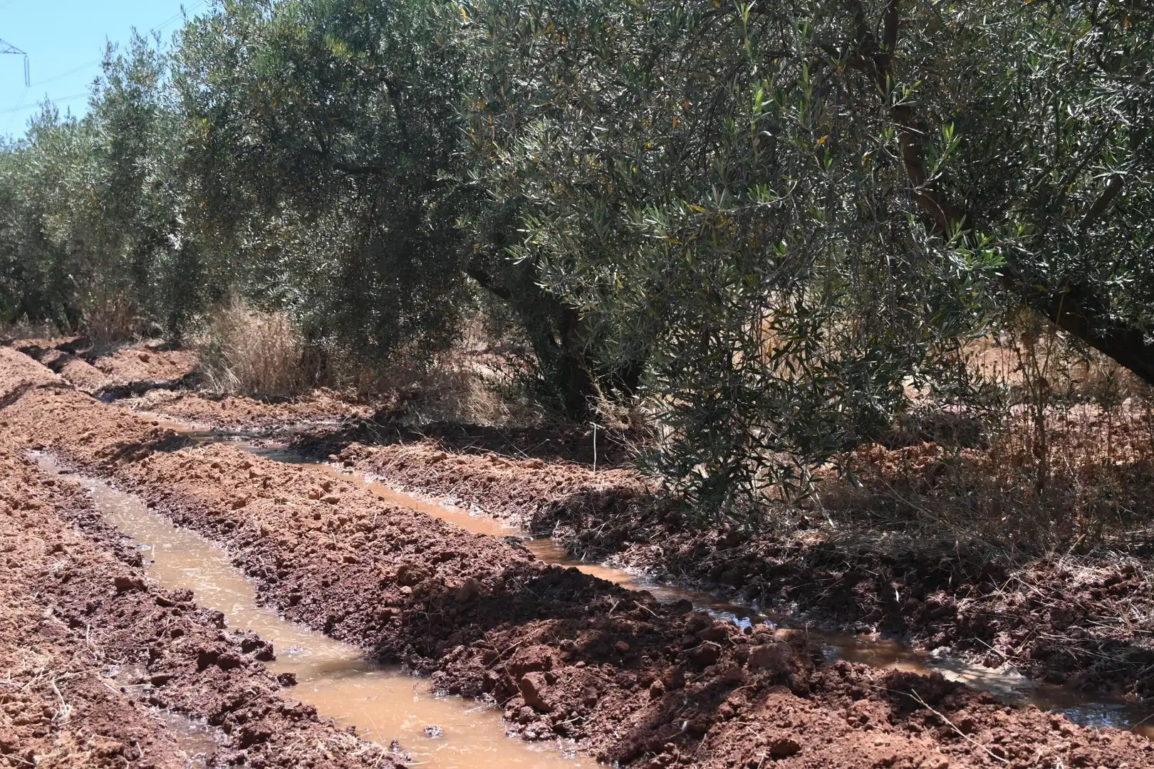 Terreni e lotti in vendita a Albolote, imagen 18