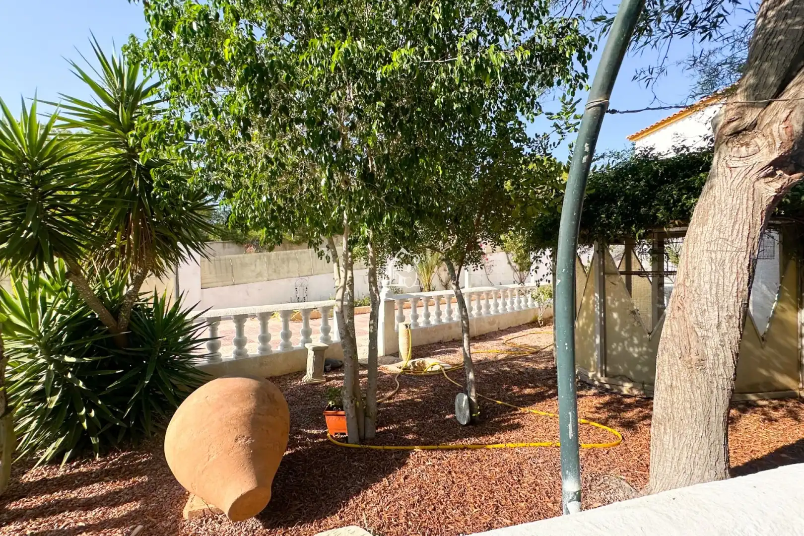 Garten von Country house zur Miete in Pilar de la Horadada mit Privatgarten, Terrasse und Abstellraum