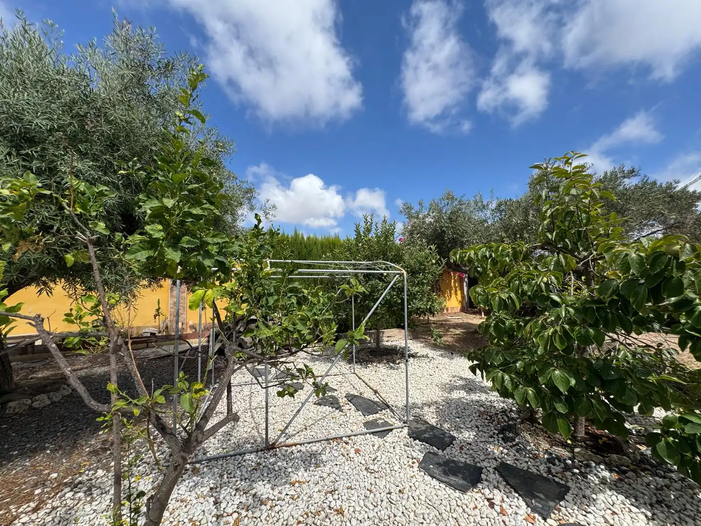 Detached house with pool to rent in Calle Francisco de Orellana 21, imagen 6