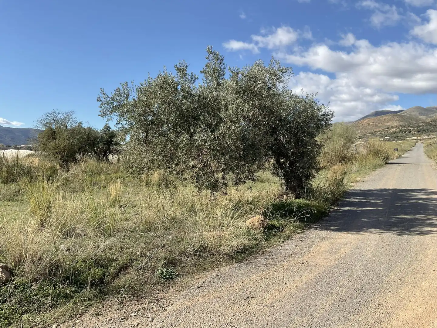 Land for sale in Padules