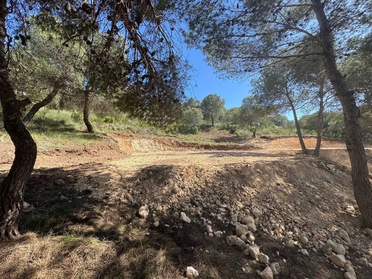Lands and plots for sale in Calle Calle Salzes, imagen 15