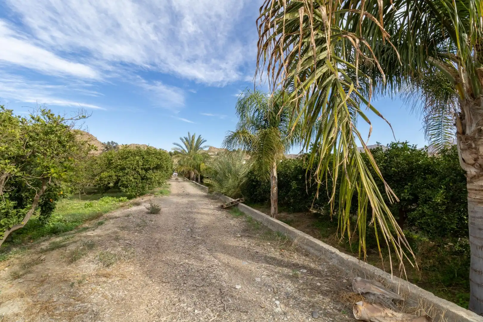 Exterior view of Land for sale in Santa Fe de Mondújar