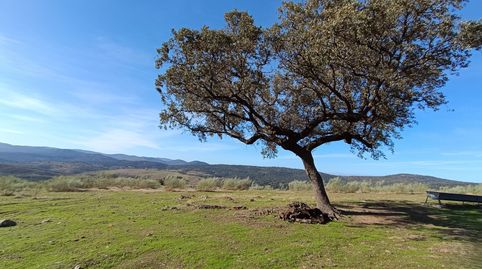 Photo 4 of Land for sale in Terrenos Poligono Maniantinos, Cabañas del Castillo, Cáceres