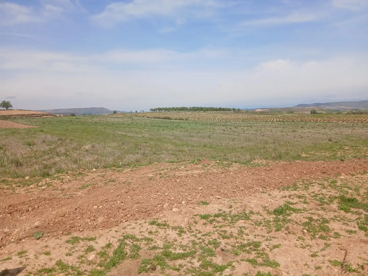 Terreno rustico in vendita a Ausejo, imagen 3