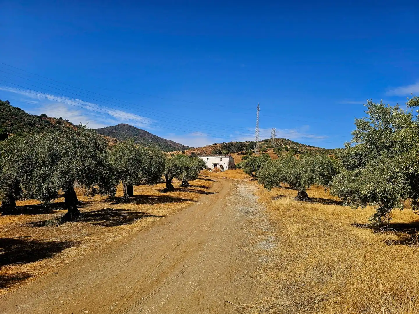 Casa rustica in vendita a Álora, imagen 15