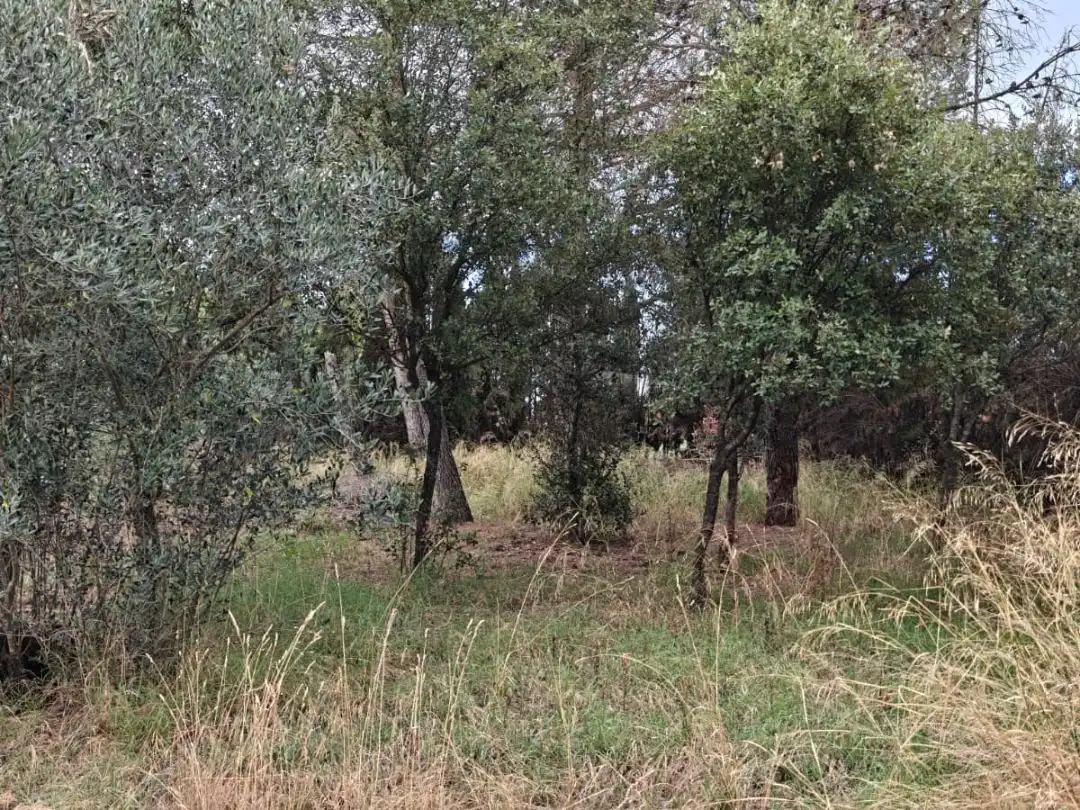 Terreno en venta en Manresa